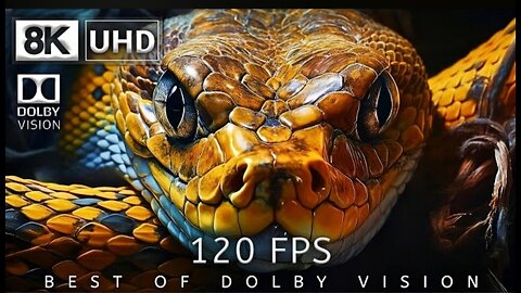 8K Video Ultra HD 120 | Best of Dolby Vision 8K 120fps