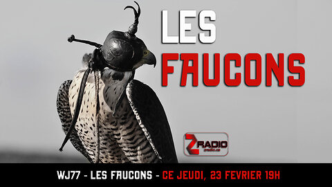 WJ77 - Les Faucons