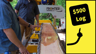 $500 Log on the Frontier Sawmill