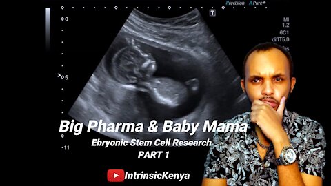 BIG PHARMA & BABY MAMA | Embryonic Stem Cell Research Pt.1
