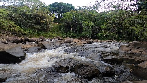 Kawainui Stream and Fall