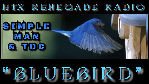 03.16.23 "BLUEBIRD" 7 PM CST
