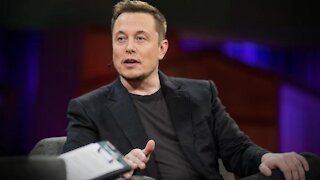 Elon Musk WARNS Civilization Will CRUMBLE If We Don’t Have Children!!!