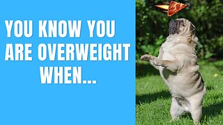 You Know You Are Overweight When... #funnyshorts