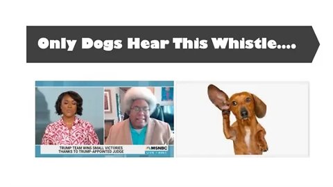 Why is it that only dogs can hear dog whistles