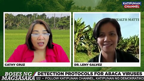 Detection Protocols for Abaca Viruses | Boses ng Magsasaka