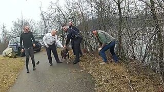Police rescue dog from icy river