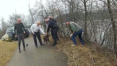 Police rescue dog from icy river