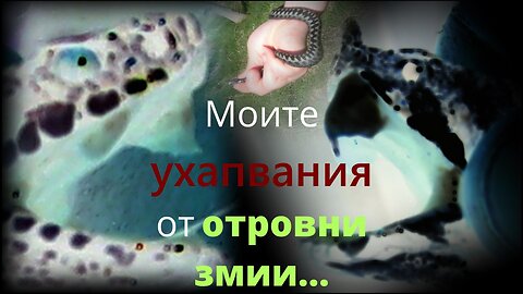 Моите УХАПВАНИЯ от ОТРОВНИ ЗМИИ (BG audio)