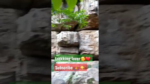 pink venom #trekkinglovers 💗❤❤ #pinkvenom #trending #viralvideo