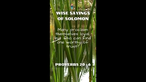 Proverbs 20.6 | NRSV Bible - Wise Sayings of Solomon