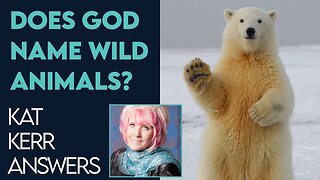 Kat Kerr: Does God Name Wild Animals In Heaven? | Nov 23 2022