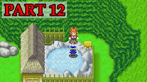 Let's Play - Harvest Moon DS Cute part 12