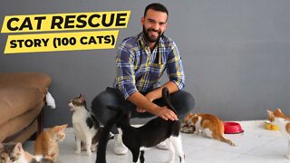 Cat Rescue Story (Introduction to the Yass House Rumble channel)