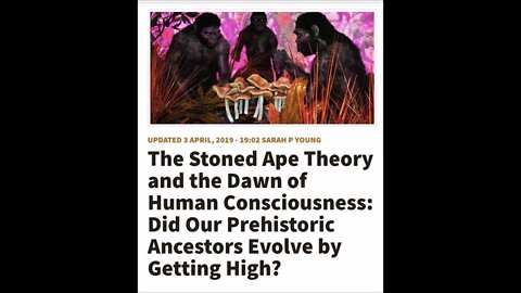 The Stoned Ape Theory Paranormal News