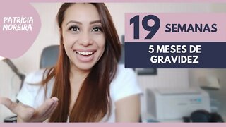 19 SEMANAS | 5 MESES DE GRAVIDEZ
