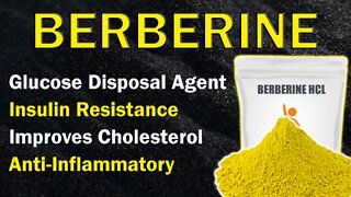 BERBERINE So Many Health Benefits! Glucose Disposal Agent, Improves Cholesterol, Insulin Resistance!