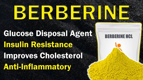 BERBERINE So Many Health Benefits! Glucose Disposal Agent, Improves Cholesterol, Insulin Resistance!