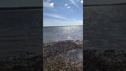 Extremely low tide opens up new areas