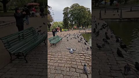 Parque Centenario, Buenos Aires