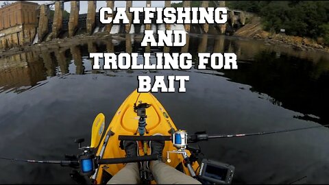 Catfishing and Trolling for Bait