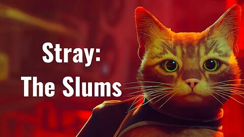 Stray Chapter 4 The Slums: Unraveling Urban Mysteries
