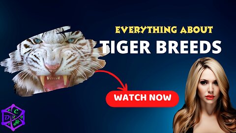 All About Tiger Breeds