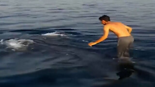 Man Jumps on Monster Sized Submarine Sharks Back Caught on Camera 2023