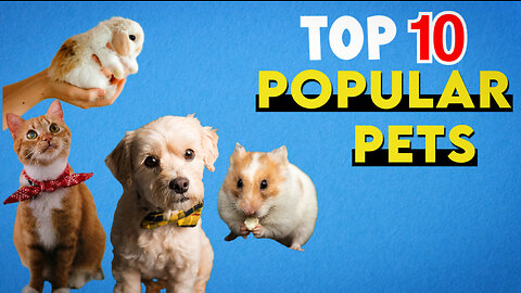 Top 10 popular pets