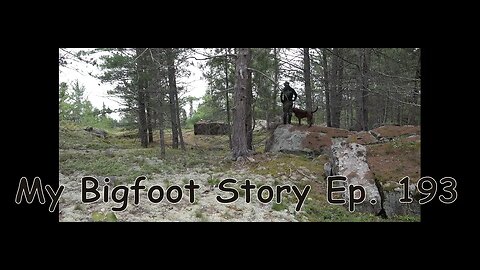 My Bigfoot Story Ep. 193 - Ravens, Triplets & The Fox Den