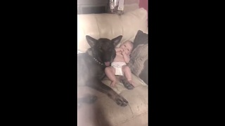 Baby spends precious moments with German Shepherd