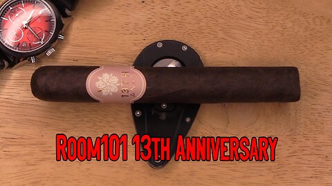 Should I Smoke This QUICK CUT: Room101 13th Anniversary