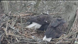 Hays Eagles Dad brings Mom a gift fish 2021 01 24 1113AM