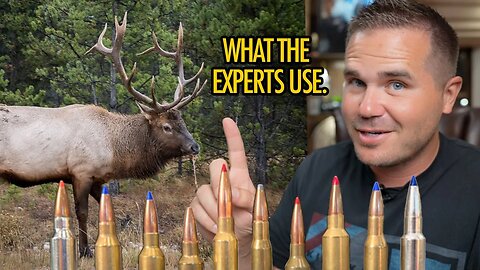 10 Best Cartridges for Elk: Voted by the experts!
