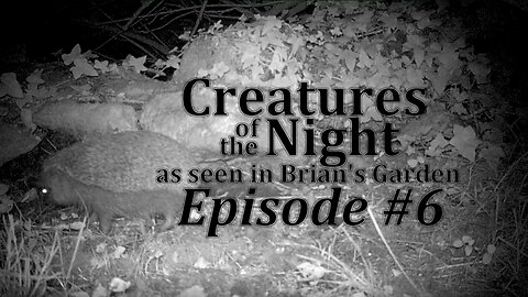 Creatures of the Night 06