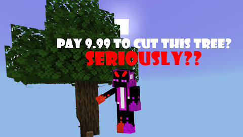 If you had to pay for everything in Minecraft!