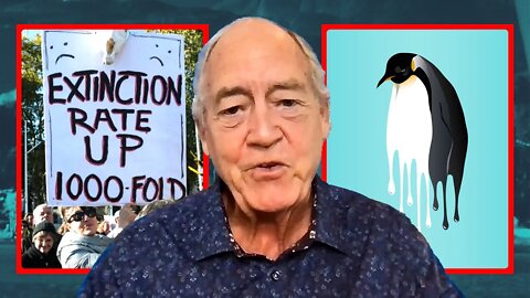 Greenpeace’s Ex-President - Are We Truly Seeing The Next Big Extinction Event?