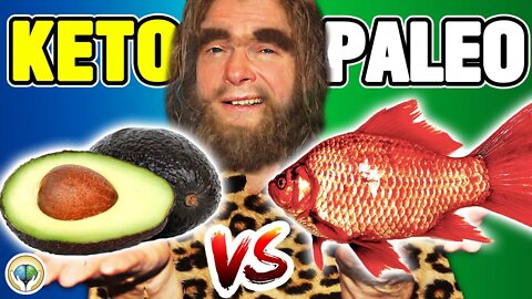 Keto Diet vs Paleo Diet - Which Is Better?