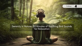 Serenity in Nature | 30 Minutes of Soothing Bird Sounds for Relaxation