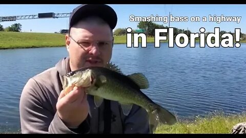 Best bass fishing ever on the highway in Orlando??? #floridabass #bassfishing #fishing
