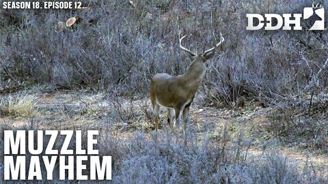 Muzzleloader Mayhem | Deer & Deer Hunting TV