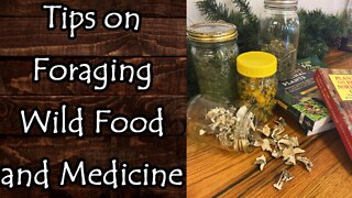 Tips on Foraging Wild Food and Medicine