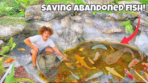 Saving Aquarium Fish LIVING In ABANDONED POND!