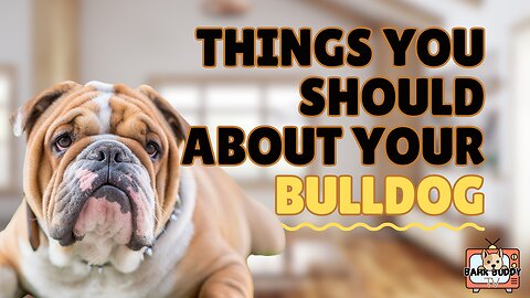 Bark Basics: Things you should about your Bulldog