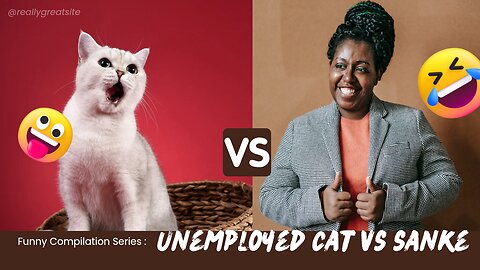 Unemployed cat vs snake Max and Katie the Great Dane
