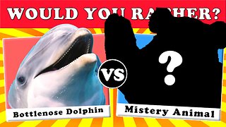 What Would You Rather? Animal Edition