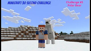 Minecraft 30 Second Challenge - Challenge 5 - Polar Bear