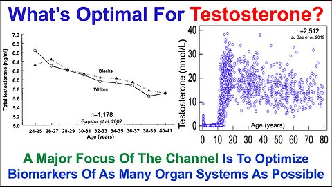 Testosterone Declines During Aging: What's My Data?