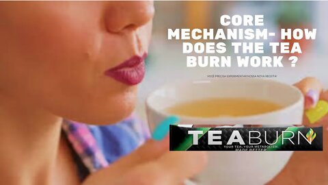 CORE MECHANISM HOW DOES THE TEA BURN WORK-VIDEO REVIEW