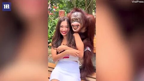 Orangutan grabs a woman's boob again